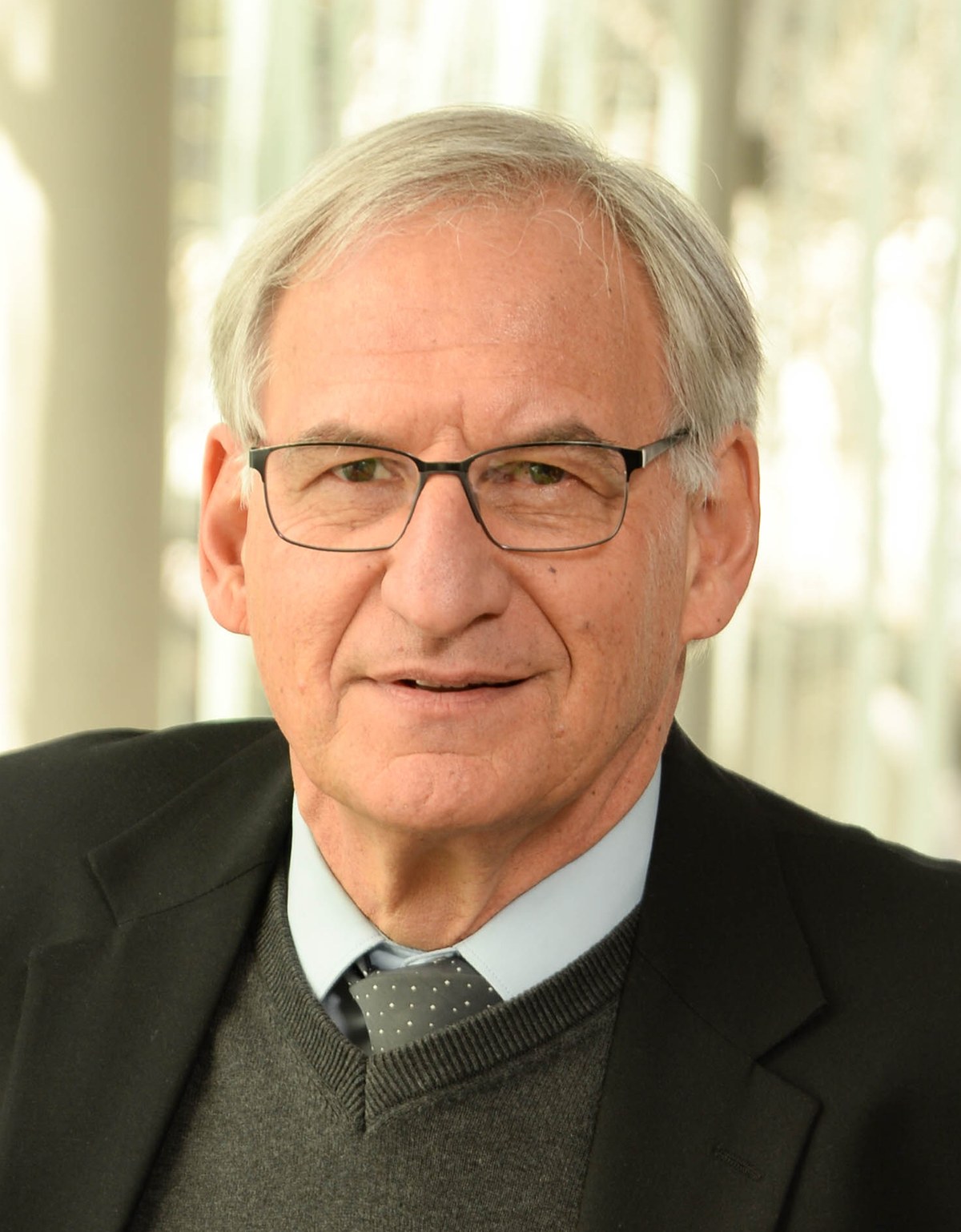 Portrait of Professor Stephan Heyns